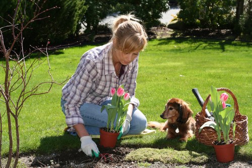 Insurance documents and checklist for a gardening company