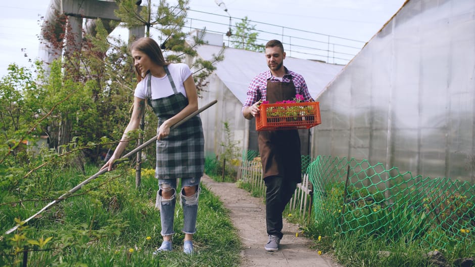 A young woman in a casual white t-shirt and ripped jeans holds a garden rake, standing beside a man dressed in a checked shirt and a dark apron, who is holding an orange plastic crate filled with pink