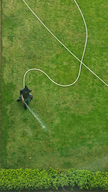An aerial view of a gardener working on a small, well-maintained urban lawn with vibrant green grass, bordered by a neatly trimmed hedge at the bottom of the image. The gardener, dressed in dark cloth